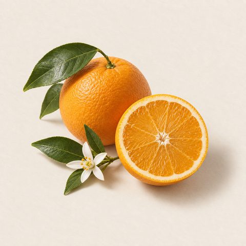 Sweet orange: a whole fruit, a cut half, leaves and an orange blossom